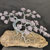 1000047746-scaled.jpg Cerisier d'Argent